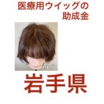 【最新】岩手県 医療用ウィッグの助成金　