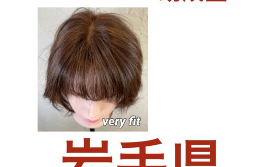 岩手県　医療用ウイッグ　補助金控除